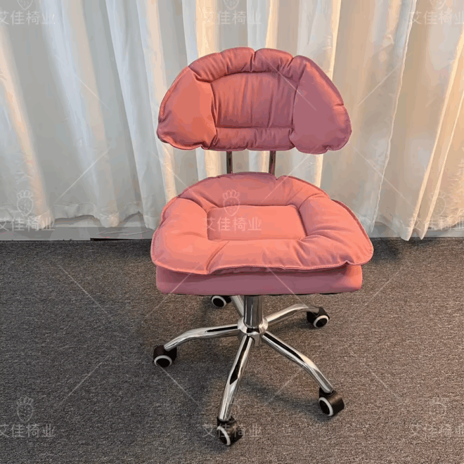Makeup Beauty Barber Chair light red